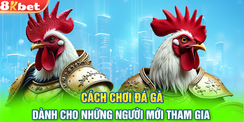 Cách chơi đá gà dành cho những người mới tham gia